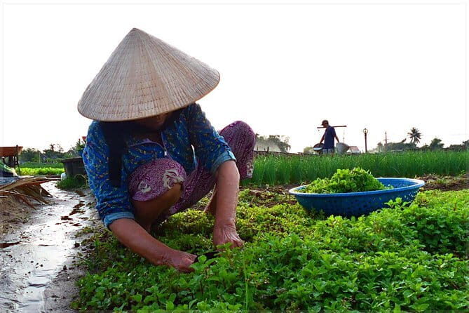 Lantern making class and Tra Que Bike Tour - Savoring Vietnamese Comfort Food