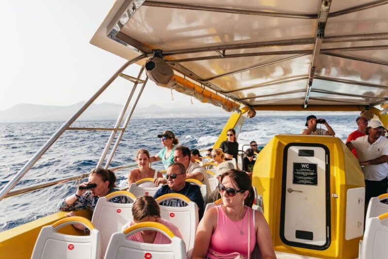 Lanzarote: 2.5-Hour Sunset and Dolphins Cruise - Who Should Consider This Tour?