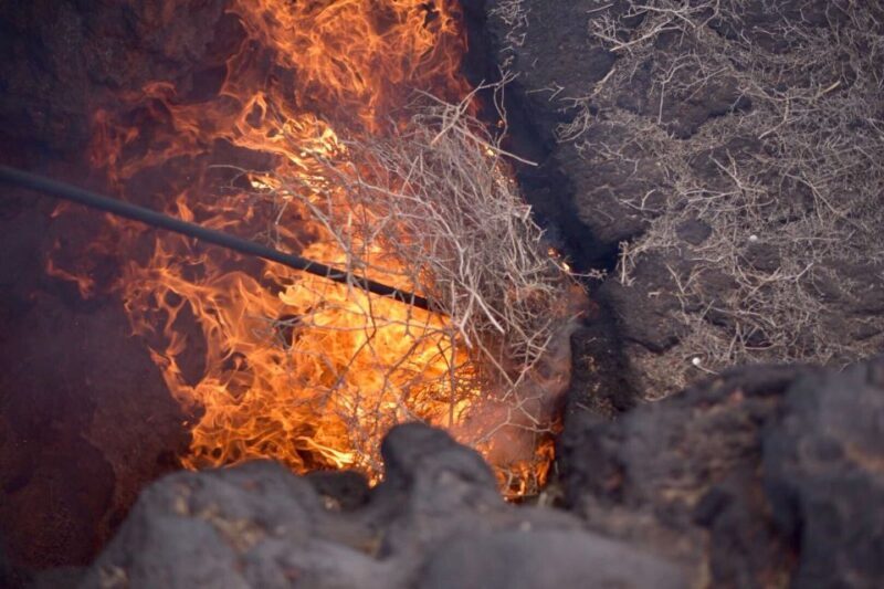 Lanzarote: 5-Hour Timanfaya National Park Southern Tour - Who Will Appreciate This Tour?