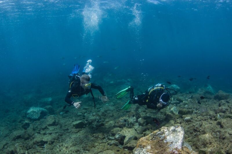 Lanzarote: Beginner Scuba Diving from the Beach - Key Points