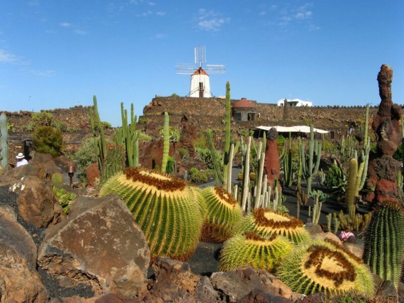 Lanzarote Coast-2-Coast Tour - Final Thoughts