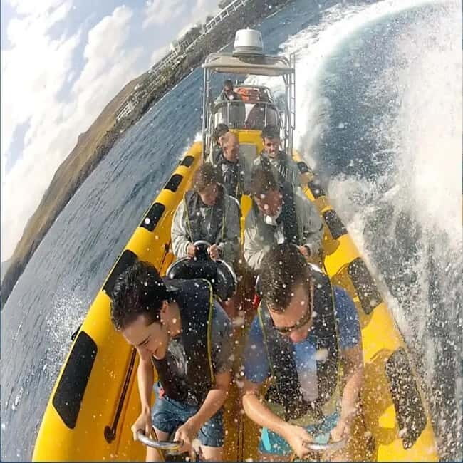 Lanzarote: Dolphin Watching by speedboat - Who Should Book This Tour?