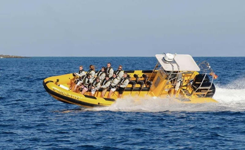 Lanzarote: Dolphin Watching by speedboat - The Sum Up: Is It Worth It?