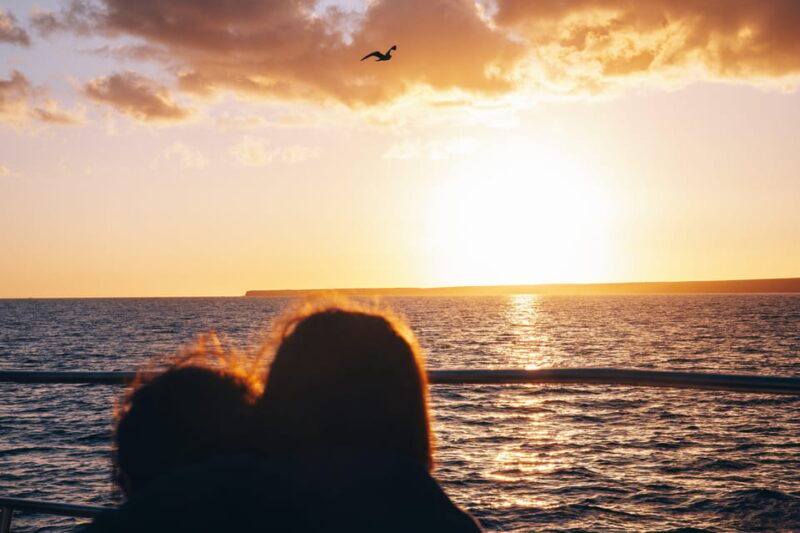 Lanzarote: Dolphin-Watching Sunset Cruise with Transfers - Final Thoughts