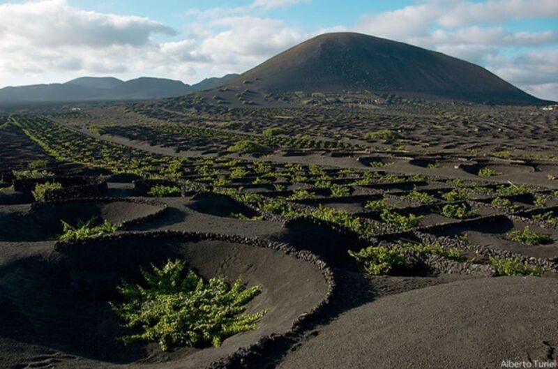 Lanzarote: Full Day Bus Tour with Scenic Views - Key Points