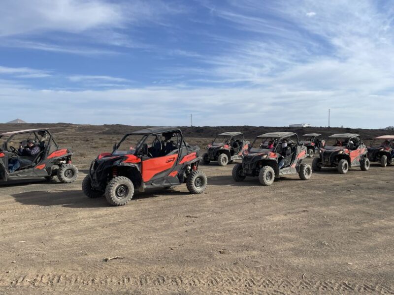 Lanzarote: Guided Can-Am Trail Buggy Tour - Frequently Asked Questions