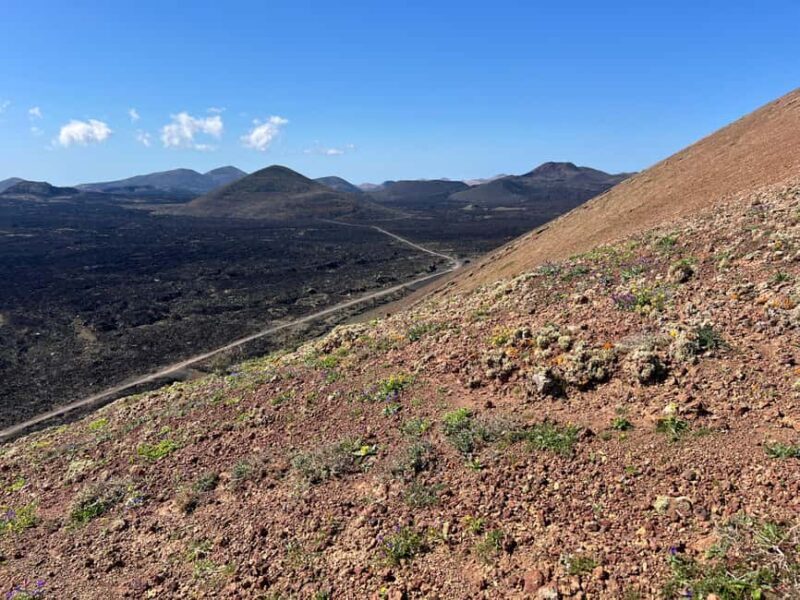 Lanzarote: Guided Hike discover volcano history and culture - Key Points