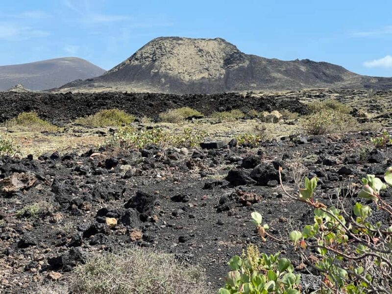 Lanzarote: Guided Hike discover volcano history and culture - A Detailed Look at the Lanzarote Guided Hike