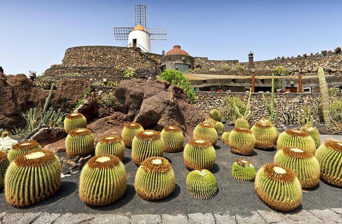 Lanzarote Highlights. Private Tour with Pickup (price per vehicle, not p.p.) - Lanzarote Highlights: Private Tour with Pickup – A Deep Dive into the Island’s Best
