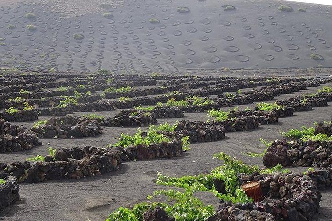 Lanzarote Highlights. Private Tour with Pickup (price per vehicle, not p.p.) - FAQs