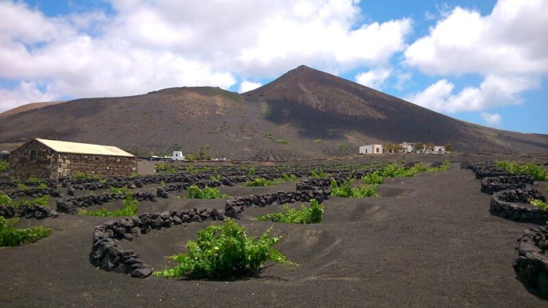 Lanzarote: La Geria Vineyards Hiking Tour - Who Should Join?
