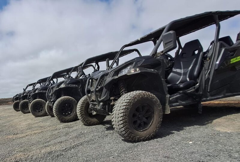 Lanzarote: Mix tour Guided Buggy Volcano Tour 4 seater - What to Expect During the Tour