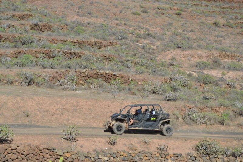 Lanzarote: Mix tour Guided Buggy Volcano Tour 4 seater - The Experience’s Pros and Cons