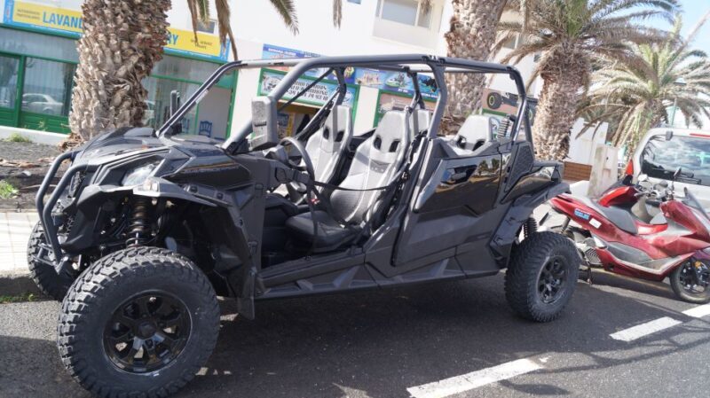 Lanzarote: Mix tour Guided Buggy Volcano Tour 4 seater - Who Will Enjoy This Tour?