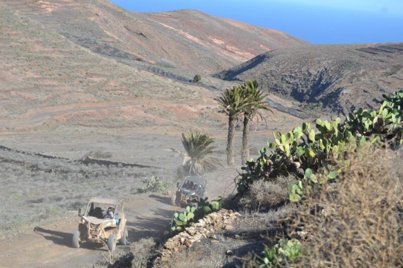 Lanzarote: Mix tour Guided Buggy Volcano Tour 4 seater - FAQ