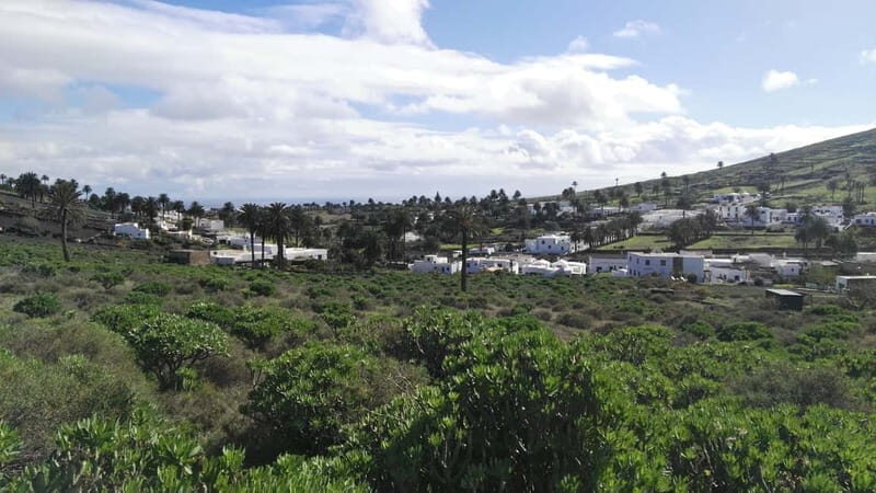 Lanzarote: Northern Cliffs & Valleys Walking tour - Exploring Lanzarote’s Northern Landscape: An Authentic Walk