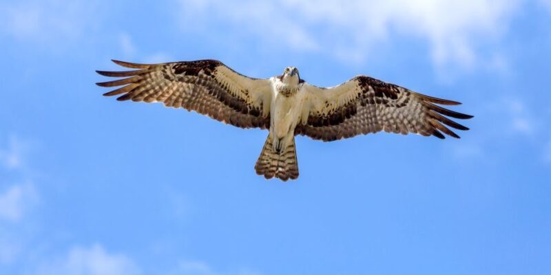 Lanzarote: Northern Cliffs & Valleys Walking tour - Authentic Experience and Value