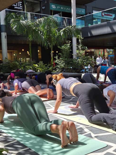 Lanzarote: Outdoor Yoga Class with Headphones - Practical Details & Tips