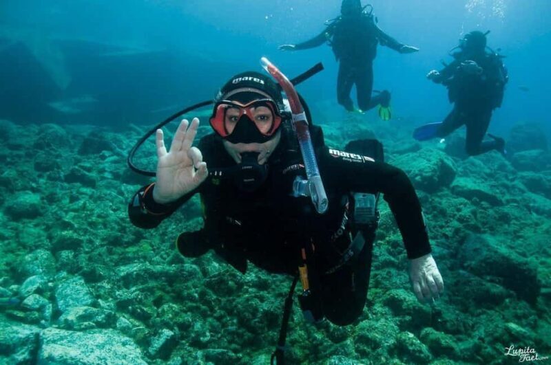 Lanzarote: Snorkeling Tour - An In-Depth Look at the Lanzarote Snorkeling Tour