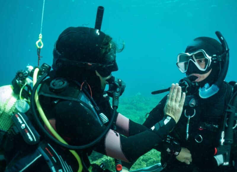 Lanzarote: SSI Open Water Diver Course - Who Will Enjoy This Experience?