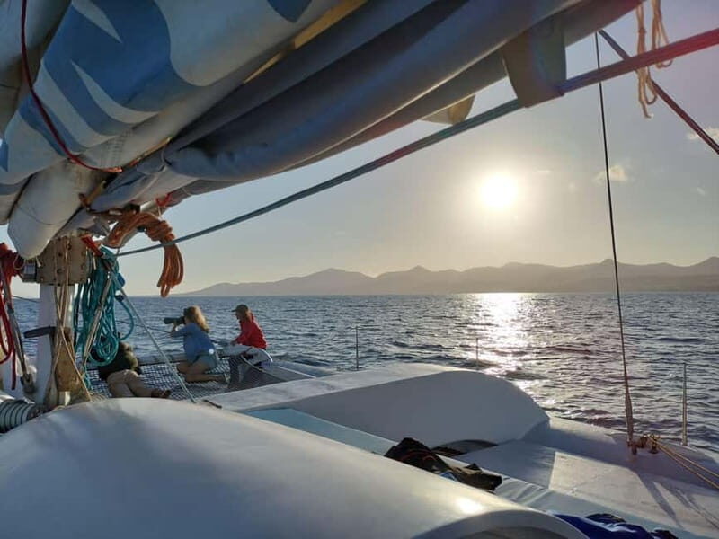 Lanzarote Sunset Experience with dolphin spotting - Final Thoughts: Who Should Choose This Experience?