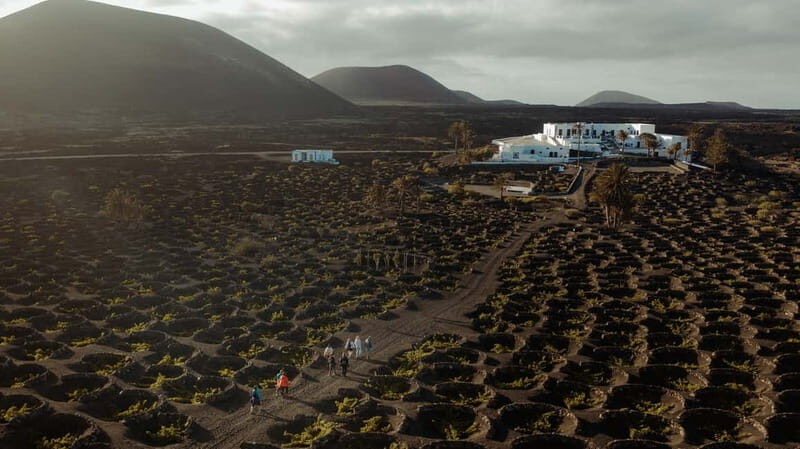 Lanzarote: Sunset vineyard tour with wine and chocolate tasting - Exploring the Sunset Vineyard Tour in Depth