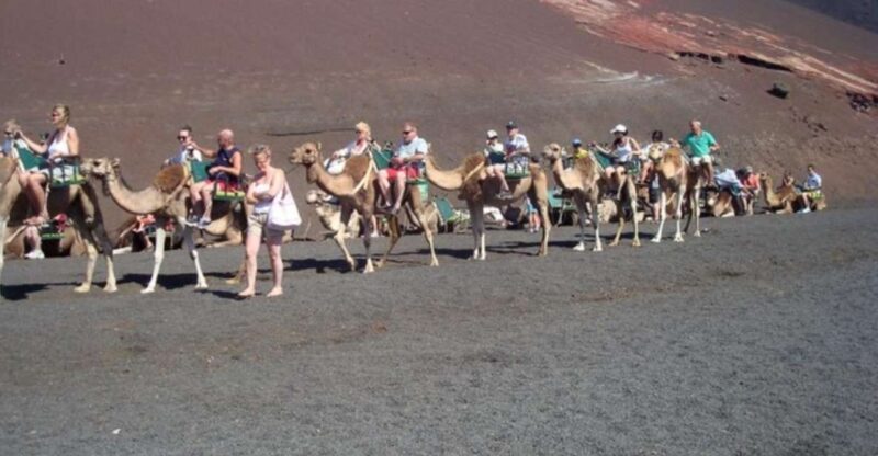 Lanzarote: Timanfaya National Park Tour - The Experience in Detail