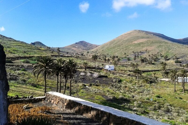 Lanzarote: Timanfaya Park and Jameos del Agua Full-Day Tour - What to Expect from the Lanzarote Full-Day Tour