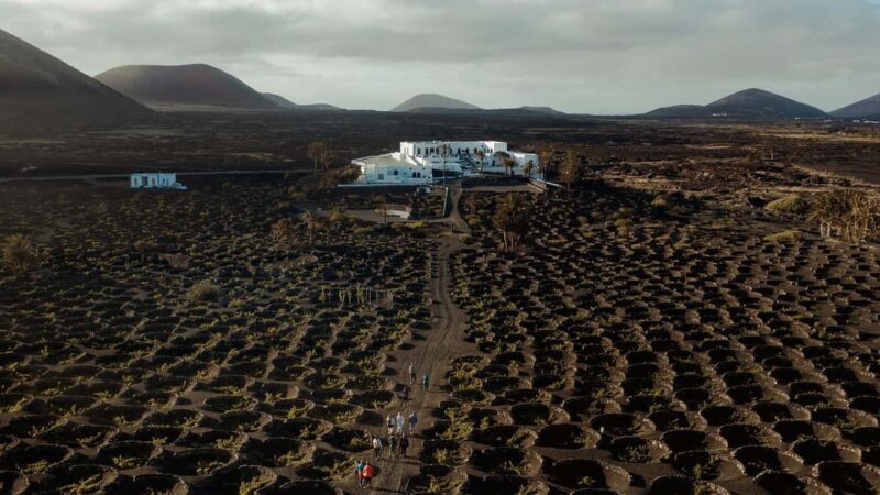 Lanzarote: Vineyard Tour & Wine Tasting with Cheese - FAQ