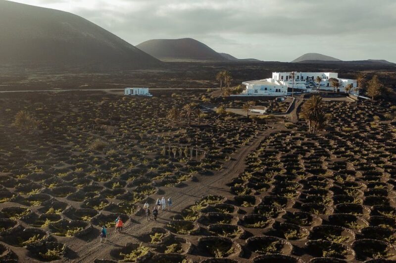 Lanzarote: Vineyard Tour with Wine and Chocolate Tasting - Key Points