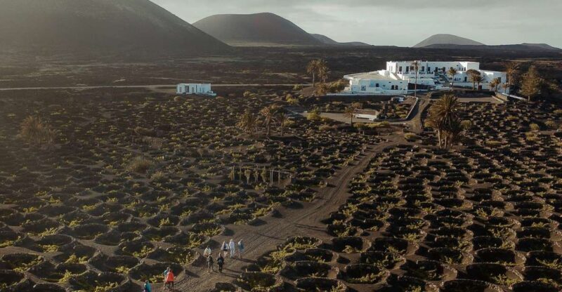 Lanzarote: Vineyard Tour with Wine and Chocolate Tasting - Detailed Breakdown of the Itinerary