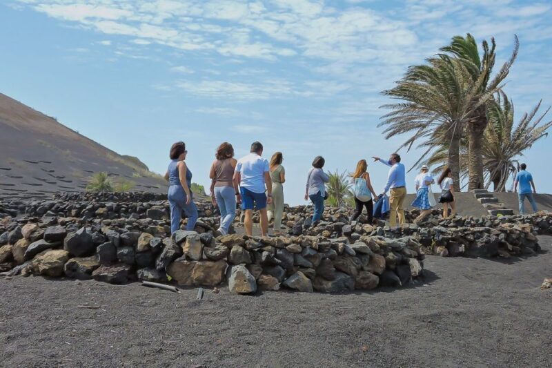 Lanzarote: Vineyard Tour with Wine and Chocolate Tasting - What the Reviews Say