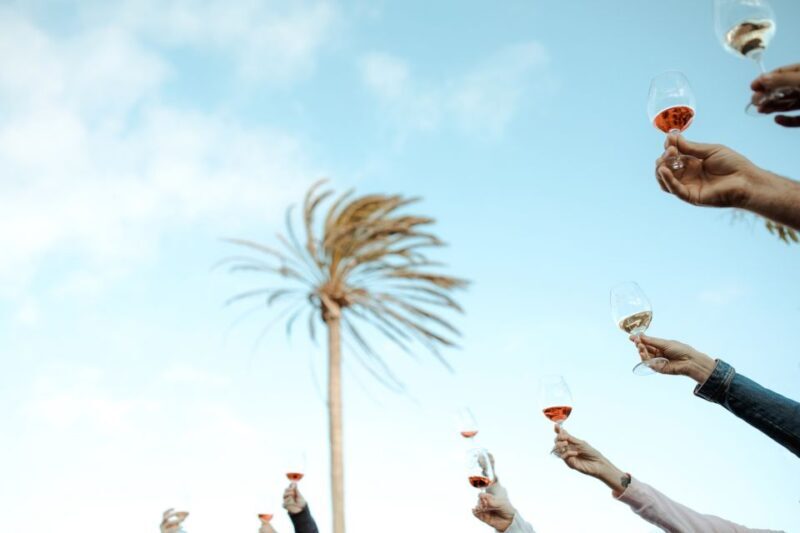 Lanzarote: Vineyard Tour with Wine and Chocolate Tasting - The Practical Side