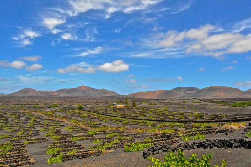 Lanzarote: Volcanos of Timanfaya and Caves Tour with Lunch - Lanzarote: Volcanos of Timanfaya and Caves Tour with Lunch — A Detailed Look
