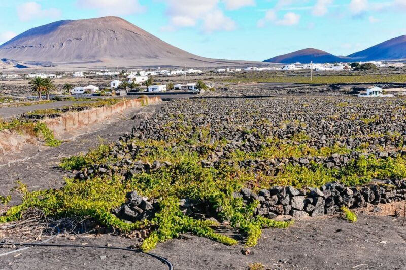 Lanzarote: Volcanos of Timanfaya and Caves Tour with Lunch - Frequently Asked Questions