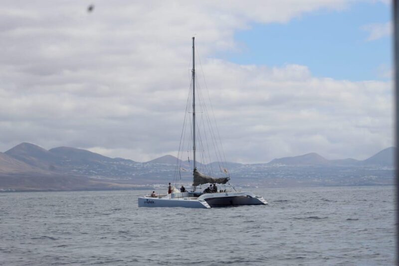 Lanzarote: Whale and Dolphin Watching Eco-Friendly Catamaran - FAQs