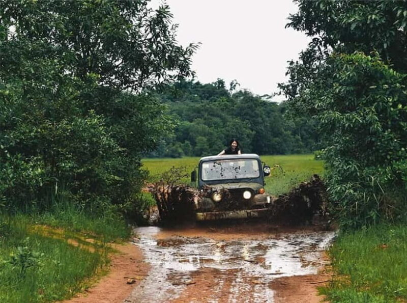 Laos: Full Day Jeep Tour & Mystic Mountain Coffee Farm - Practical Details: Transportation, Timing, and Comfort
