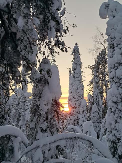 Lapland: A Day at a Traditional Log Cabin & Snowshoe Trek - An Honest Look at the Experience