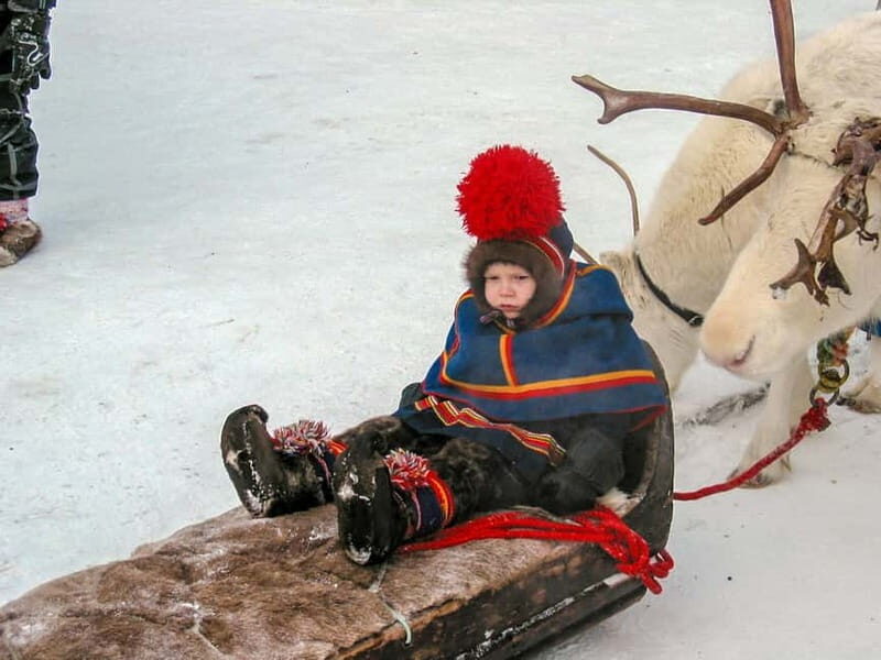 Lapland: A day on the trail of the Sami indigenous people - The Sum Up