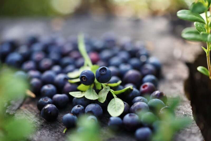 Lapland Cooking Workshop - Key Points