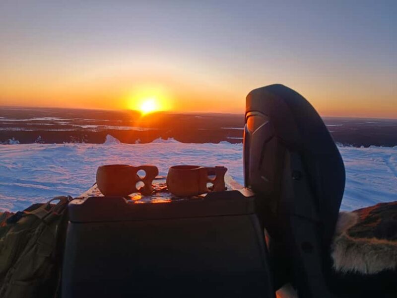 Lapland: Exclusive Private 7h Snowmobile Tour with Guide - A Detailed Look at the Lapland Snowmobile Experience