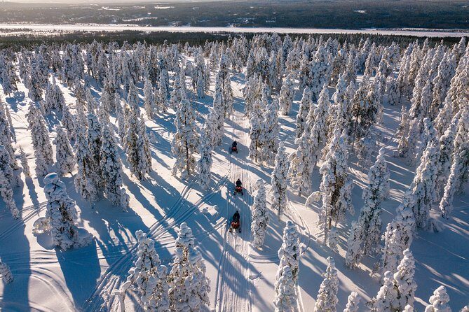 Lapland Family Snowmobile Safari from Levi - The Sum Up