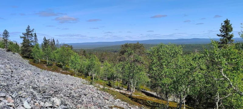 Lapland: Guided Hiking Tour in the Pristine Nature in Luosto - Lapland: Guided Hiking Tour in the Pristine Nature in Luosto