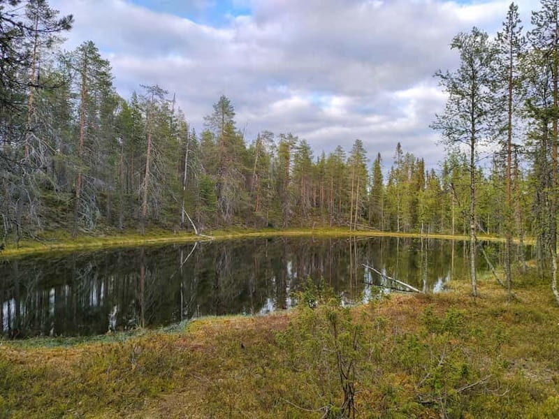 Lapland: Guided Hiking Tour in the Pristine Nature in Luosto - FAQ