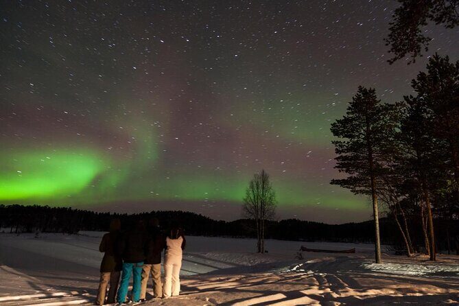 Lapland Husky Safari from Saariselkä - In-Depth Review: A Genuine Arctic Adventure