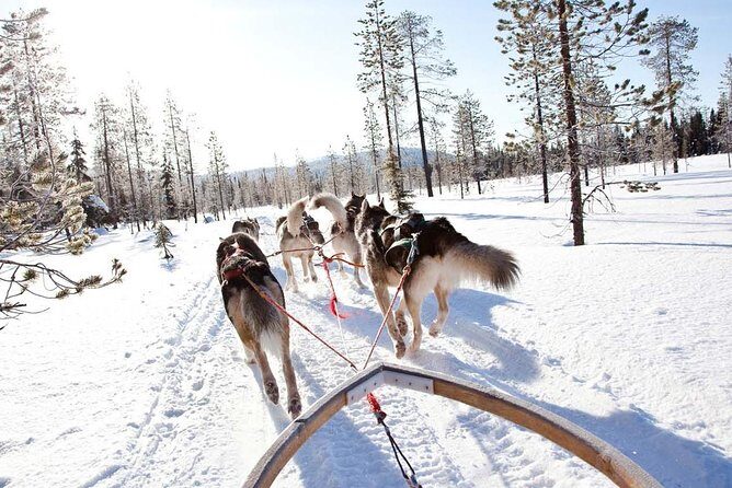 Lapland Husky Safari from Saariselkä - FAQs