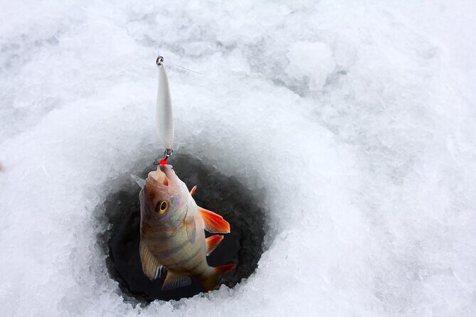 Lapland Ice Fishing Experience from Rovaniemi - A Closer Look at the Lapland Ice Fishing Experience
