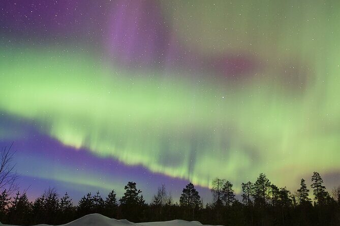 Lapland In A Day - Reindeer, Sledding, Snowmobile & Nature - Who Will Love This Tour?
