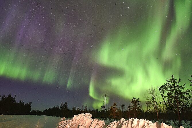 Lapland In A Day - Reindeer, Sledding, Snowmobile & Nature - FAQ: Practical Questions About the Lapland in a Day Tour