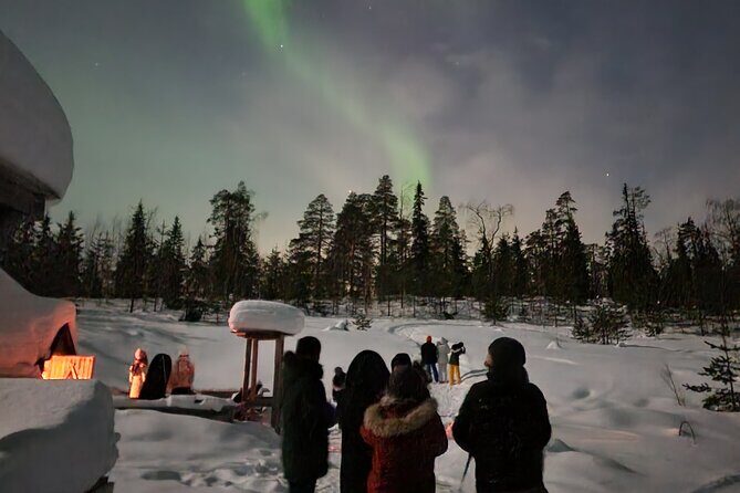Lapland In A Day - Reindeer, Sledding, Snowmobile & Nature - Final Thoughts